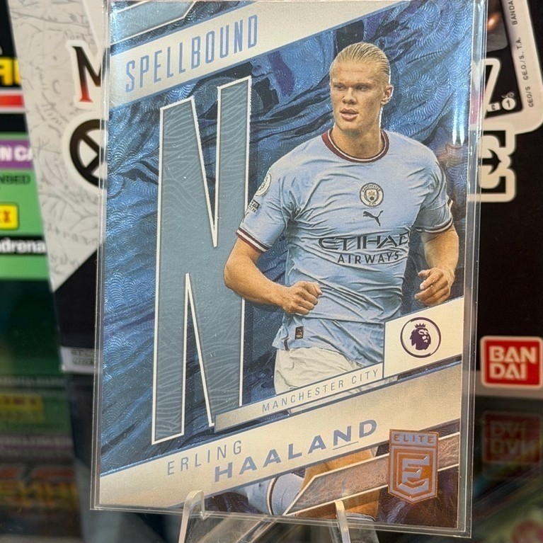 Erling Haaland Panini Donruss Elite Premier League Player Card 2022-23 SPELLBOUND N