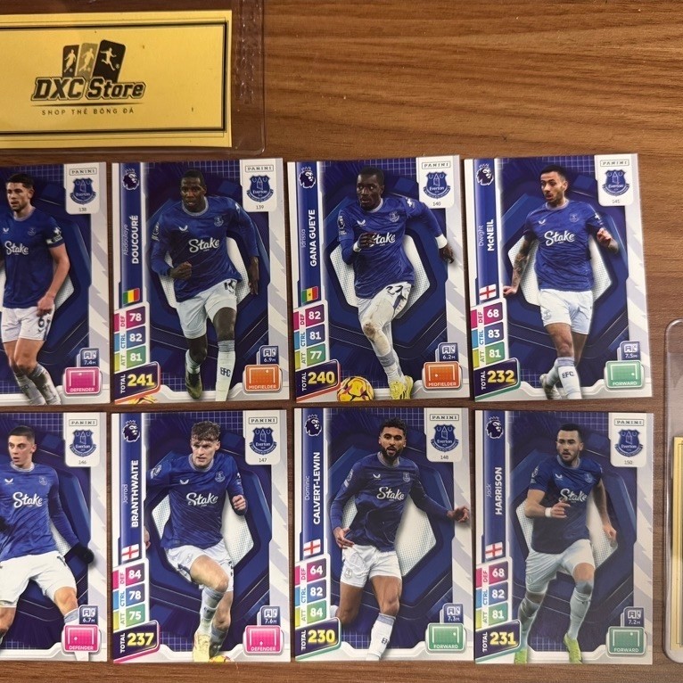 [ ของแท้ ] - PANINI ADRENALYN XL PREMIER LEAGUE PLUS 2025 - EVERTON
