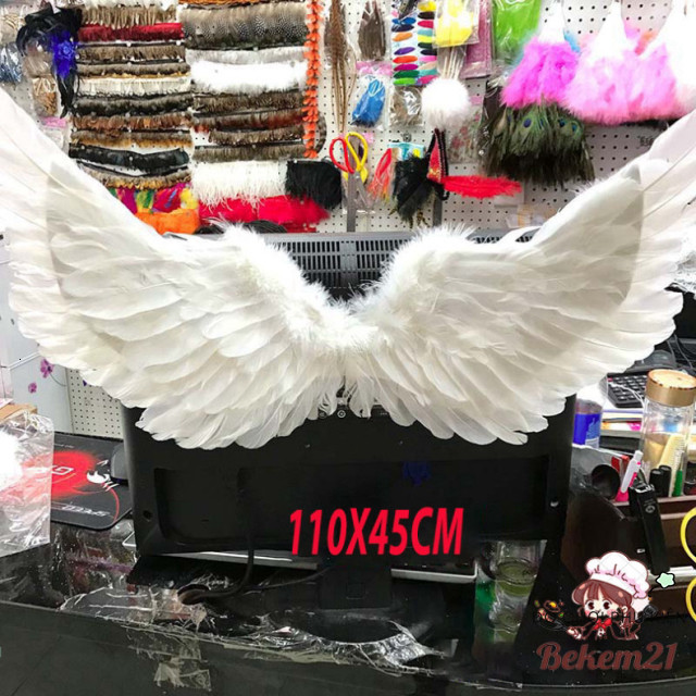 "Cosplay Angel Wings - Shining Wings มีเผชิญหน้า!"