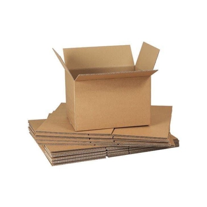 CARTON BOX TO PROTECT SHOES