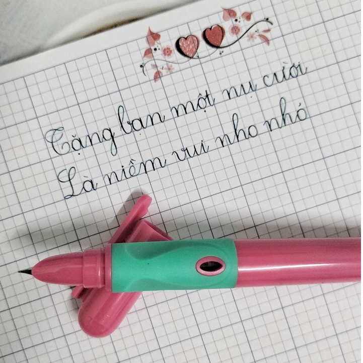 CD 106 Fountain Pen Kim Tinh Nib _butchidep