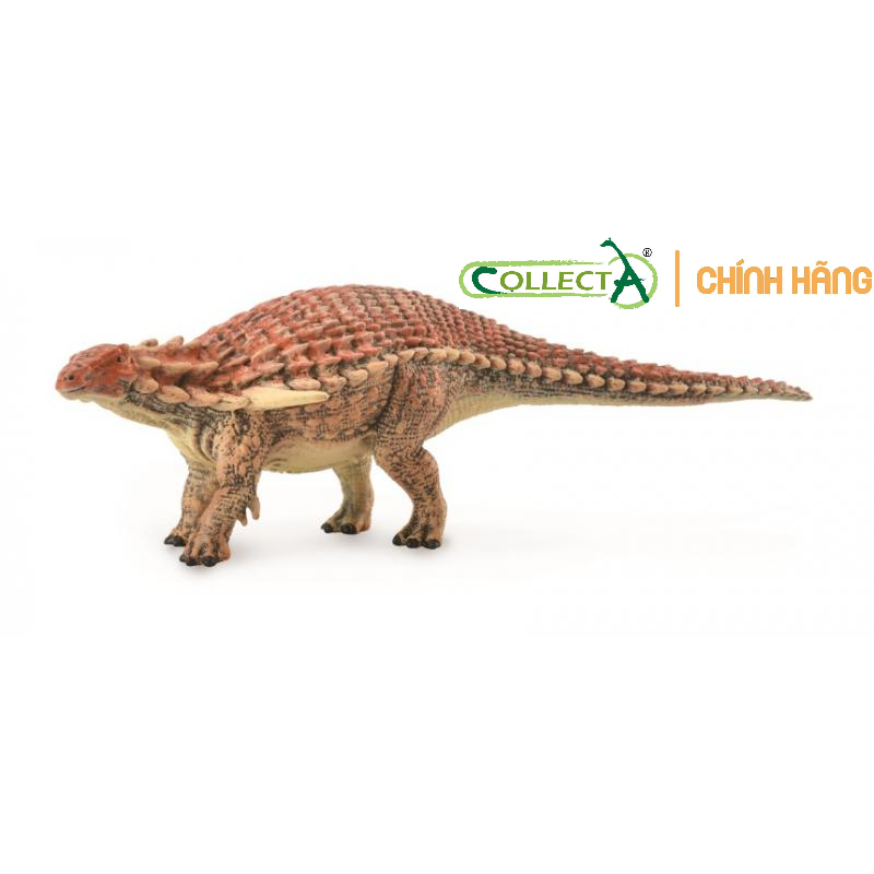 โมเดลไดโนเสาร์ Borealopelta (ของแท้)