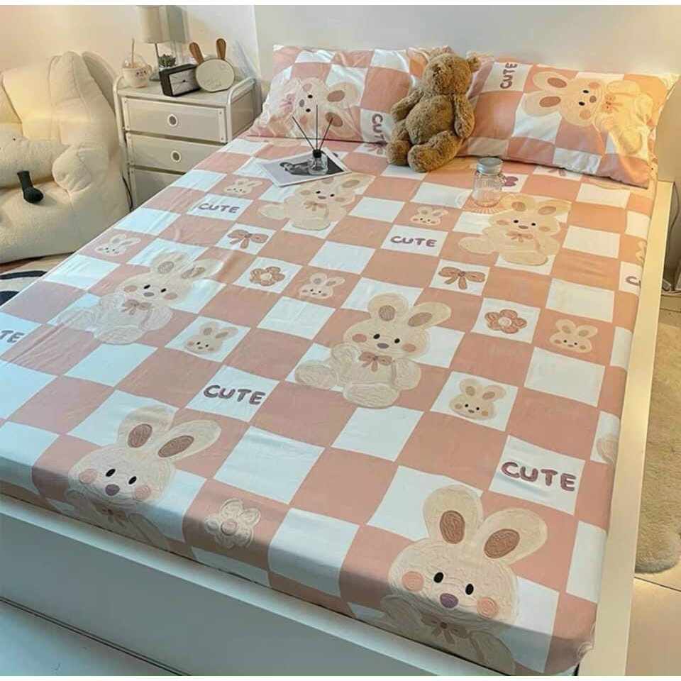 ชุดเต็มของ POLLY COTTON BEDDINGS ทุกไซส์