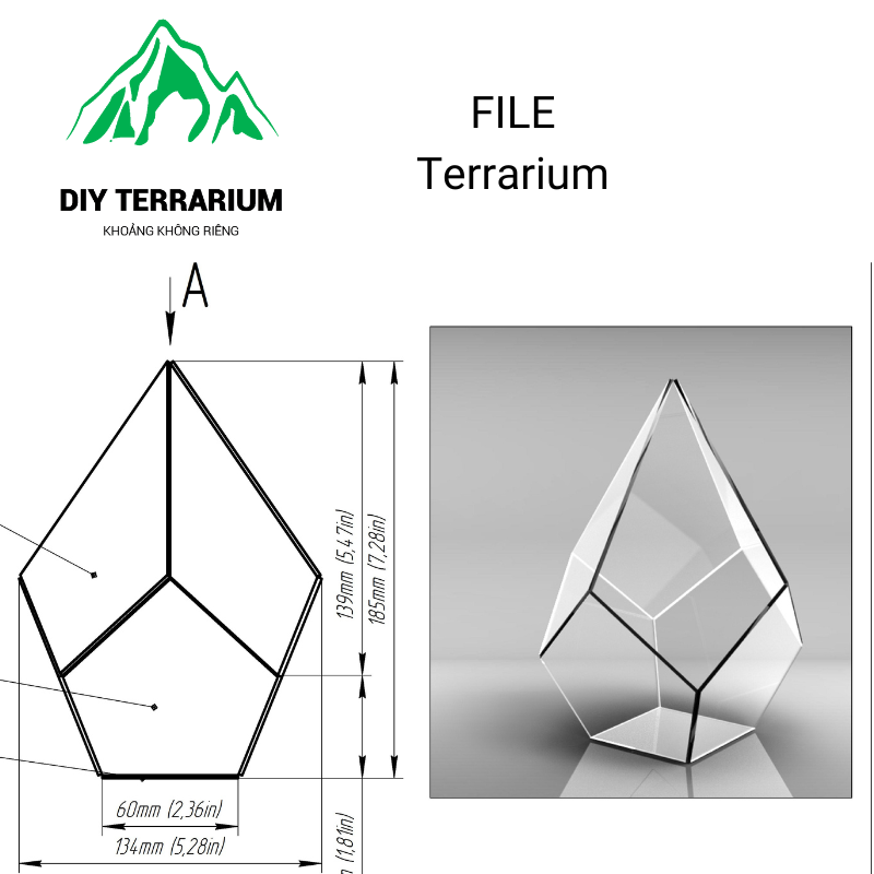 ภาพวาดที่แม่นยําของแจกันแก้ว Terrarium ทุกมิลลิเมต - โครงการ 2