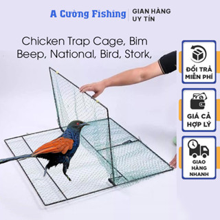 กรงดักไก่ คอนโวลูลัส นก สตอก นกกระทาป่า - ได้ผล 100%