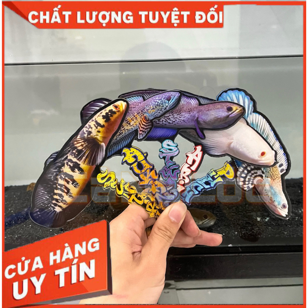 ต้นปาล์มรุ่น Diverse Snakehead Fish 1 - เพิ่มความแข็งแรงของปลา (MICA MATERIAL)