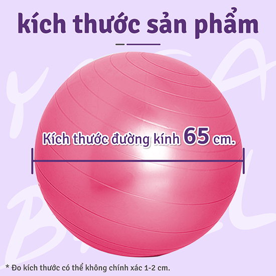 [65ซม.] WITH PUMP professionall.gym-HIGH QUALITY 65CM YOGA BALL หลากสี