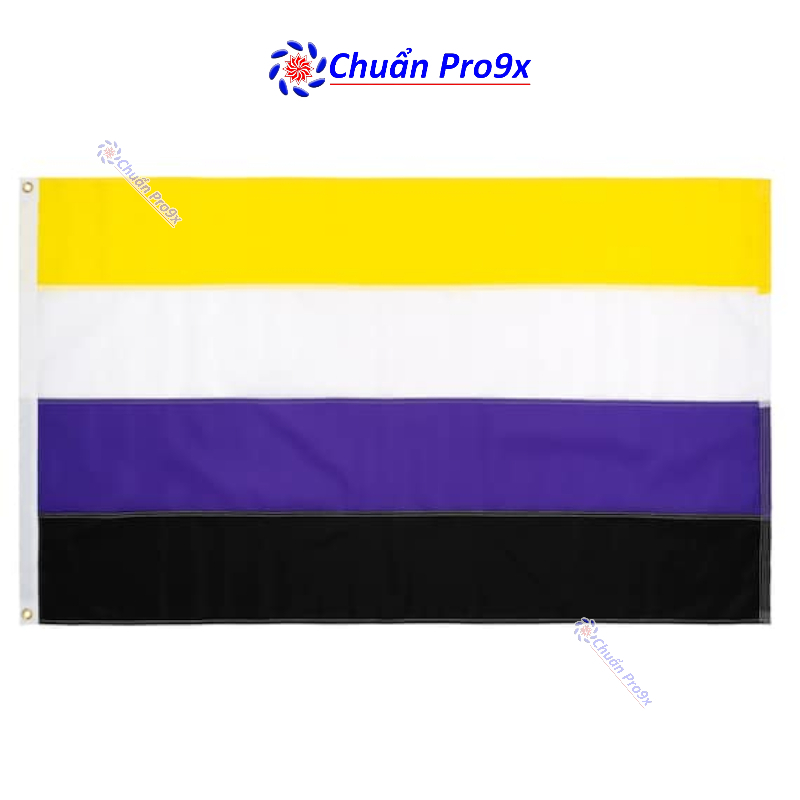 LGBT Non binary Flag Phi Nhi Nguyen World