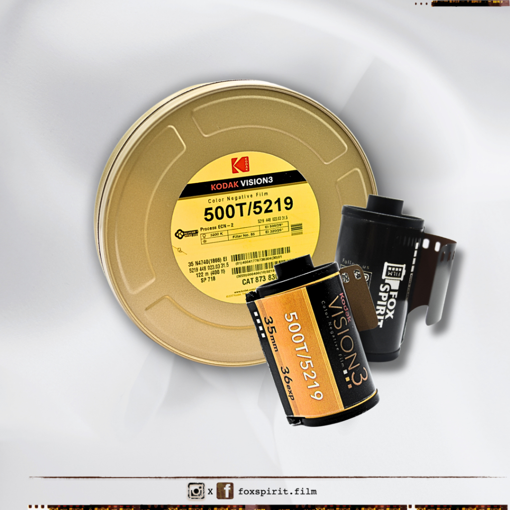 CineFilm - Kodak Vision3 - 500T/5219 - 36exp - สารสกัดซีนฟิล์ม 35mm