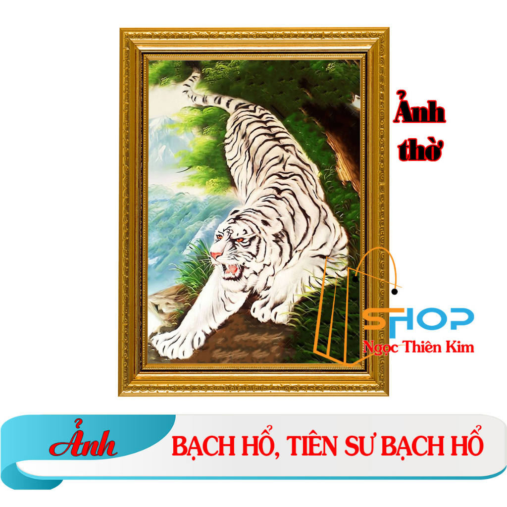 บูชาพระ BACH TIGER, FAIRY MASTER OF BACH TIGER + กรอบ+เคลือบพลาสติก