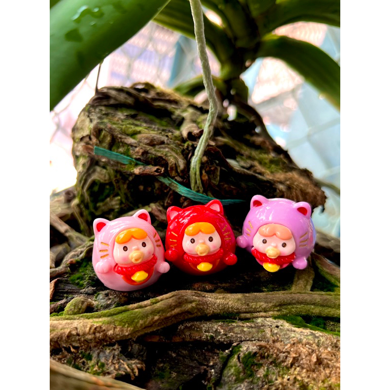 Zai Zai Lucky Cat รุ่น Mini Small Landscape Study Desk Decor