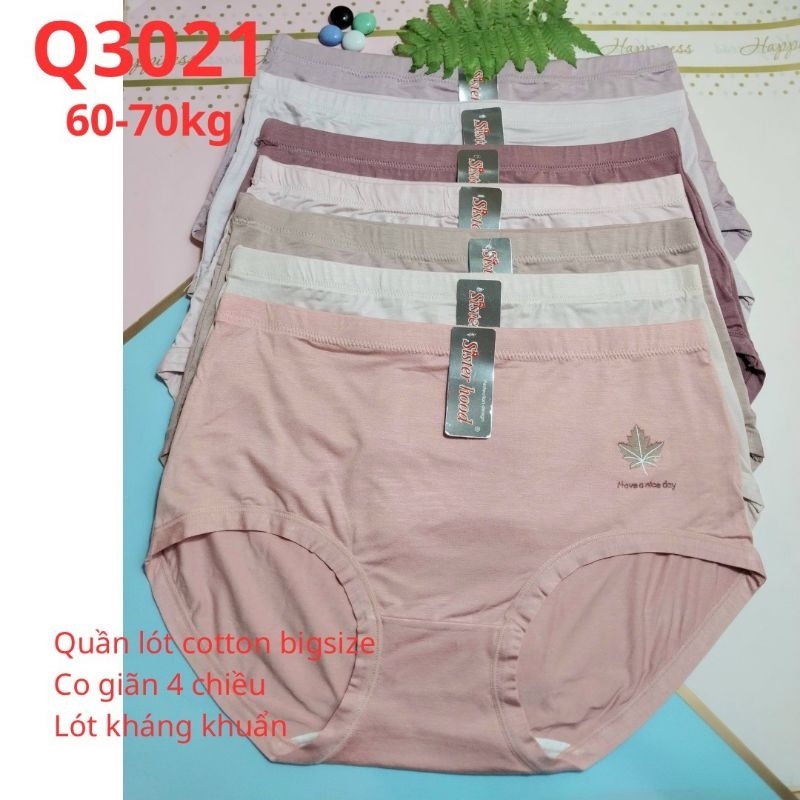 THAI UNDERWEAR 3021*