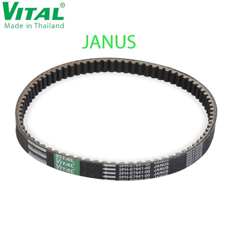 Vital Brand Janus Belt นําเข้าจากประเทศไทย