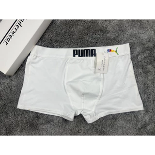 ชุดชั้นในชาย [COMBO 5C] กางเกงบ็อกเซอร์ผู้ชาย Pu cold elastic breathable ชุดยืด 4 ทิศทาง 5 สี