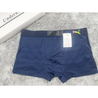 ชุดชั้นในชาย [COMBO 5C] กางเกงบ็อกเซอร์ผู้ชาย Pu cold elastic breathable ชุดยืด 4 ทิศทาง 5 สี