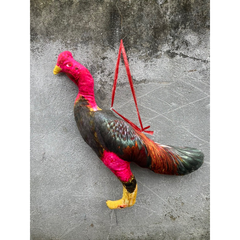 ไก่ปลอม 5ง สําหรับฝึกความแข็งแรงของเล่นไก่ชน