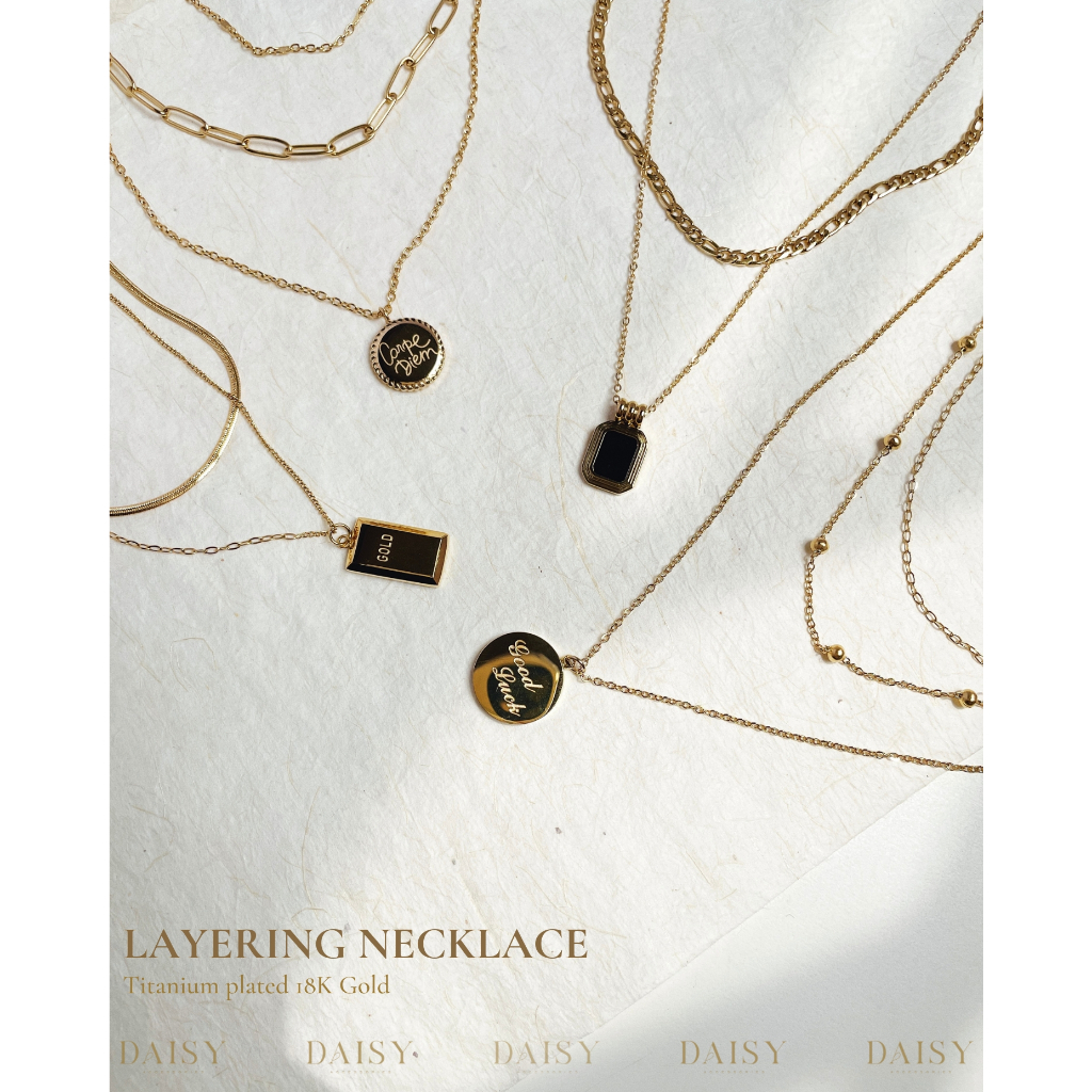 |SYNTHESIS| สร้อยคอชั้นไททัน |Daisy.accessory.hn|
