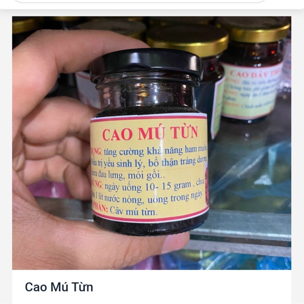 Gao grouper - Hoai Linh Dien Bien