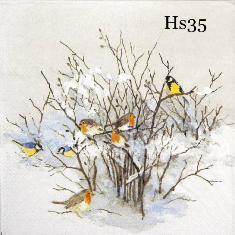 ทิชชู่ตกแต่ง - Napkin/Decoupage (Hs35/Hs36/Hs41/Hs66)