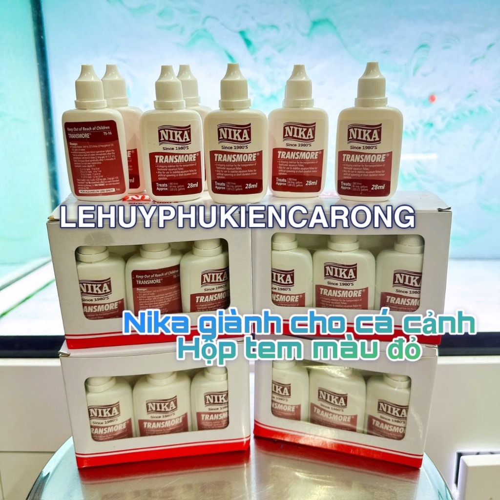 NIKA Arowana และ Koi Fish Transport Solution