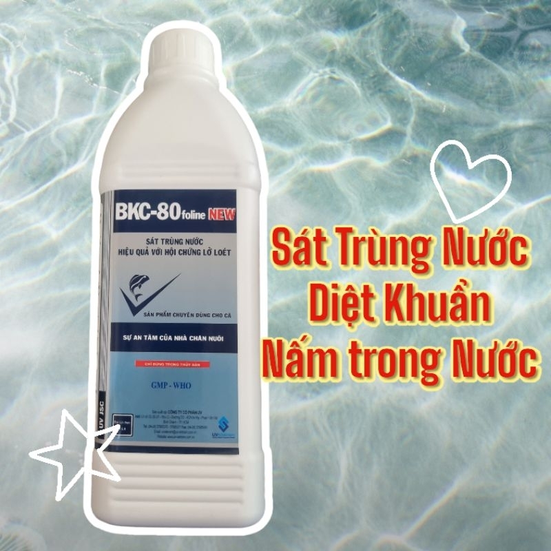 [เพาะเลี้ยงสัตว์น้ํา] BKC-80 foline DISINFECTANT สําหรับการรักษาเรืองแสง