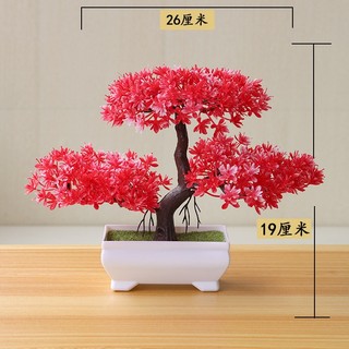 Chậu cây bonsai phong cách Yunpine giả có hoa Trang trí decor nhà cửa góc học tập giá rẻ