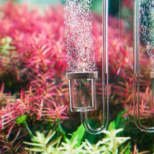 NEO Diffuser Original SUPER SMOOTH CO2 ถ้วยฟู่ (ไซส์ S ไซส์ M) - ถ้วยฟู่ Aquatic CO2