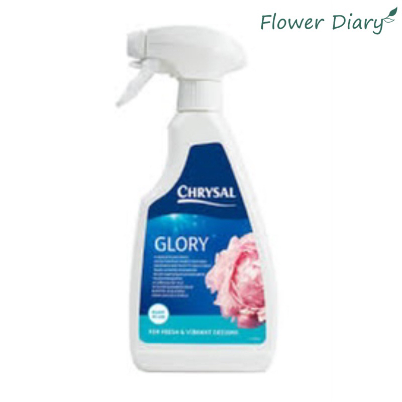 Chrysal Glory Moisturizing Solution สําหรับดอกไม้สด 500ml