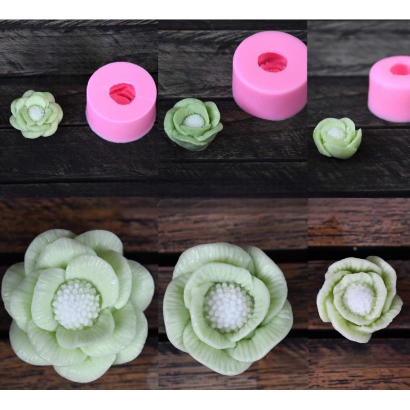 ชุดดอกไม้ P19-P21***