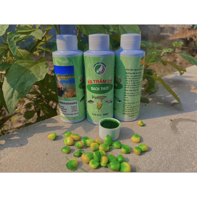 Bach Thuy Flavouring Soaked ในข้าวโพดสําหรับตกปลาที่มีปลาคาร์พสีขาว, ปลาคาร์พ Bach Thuy