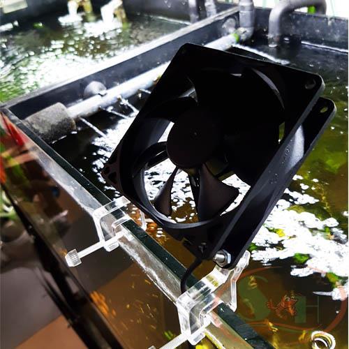 AQUARIUM TANK COOLING FAN - ถังเก็บน้ํา SALTY - AQUARIUM TANK HEAT REDUCTION FAN (SINGLE FAN - พัดลม