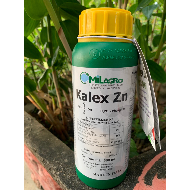 Kalex Zn 500ml Made in Italy: สร้างถั่วงอก ใบเขียวหนา จํากัดใบเหลือง จํากัดก้านแตก และหนองรั่วบนพืช