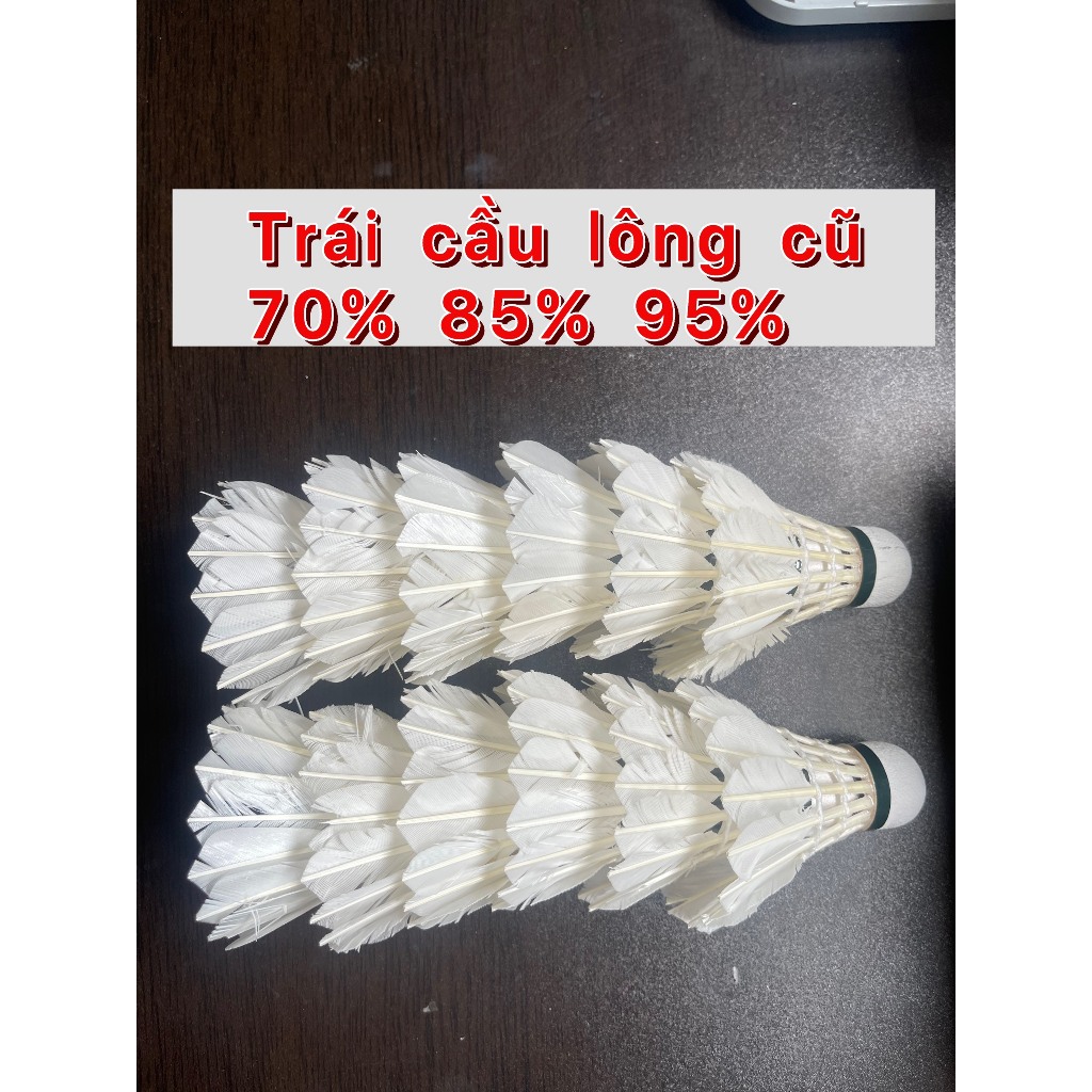 ลูกซ้อมแบดมินตันมือสอง 70% 85% 95% ใหม่ พร้อมขนนก 16 ลูก (สุ่มยี่ห้อวีน่า สีดํา, 88, สีม่วง สวัสดี เย็น)
