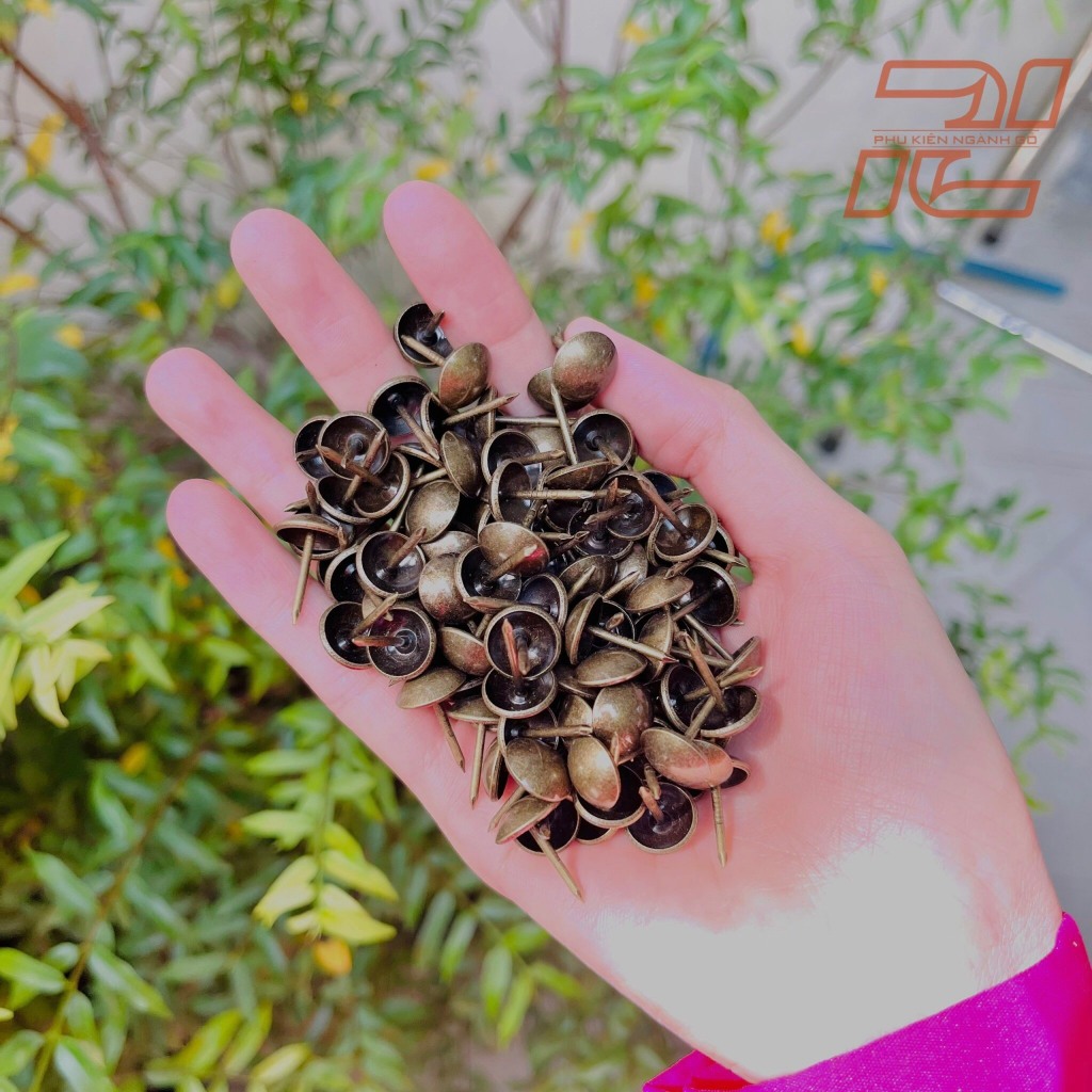 BRONZE UMBRELLA NAILS (BACK OF 500)