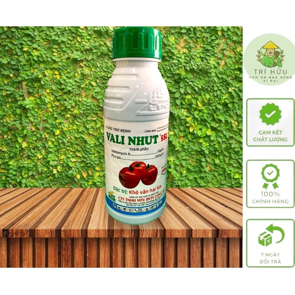 NHUT VALUES 5SL BOTTLE 480ML: ฤดูใบไม้ผลิข้าว