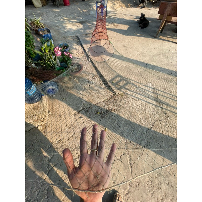 [Touong Vi] ถ้วยปาก 4P ถุง 1.5P พร้อมหมวก ADHESIVE 10 ชิ้น พร้อมเขา 2 อัน น้ําหนัก 1กก.