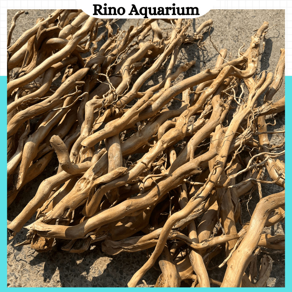 [100 กรัม] การออกแบบเค้าโครงตู้ปลา Driftwood Forest Root ขนาดใหญ่