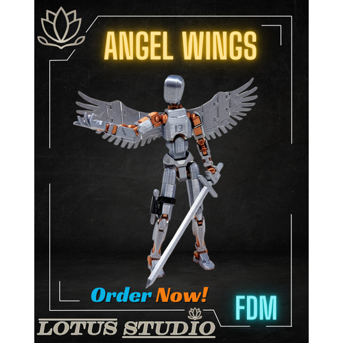 Dummy Angel Wing 13 | ไม่รวมโมเดล