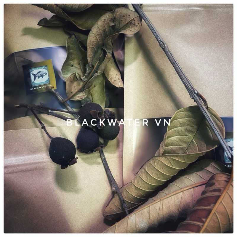 AQUARIUM GUAVA LEAVES (25-30 ใบ)