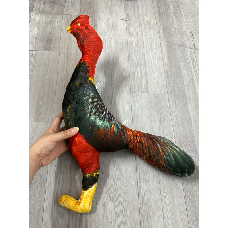 การฝึกกําลังไก่ 5ง สีแดง สําหรับไก่ชน