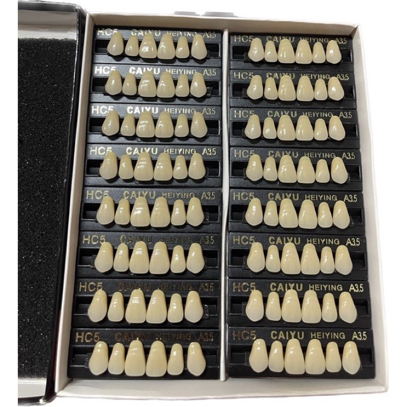 PREMOVABLE TEETH พุพอง 6R, 8R (ประตูกล่องนิรภัย, HAM TEETH)