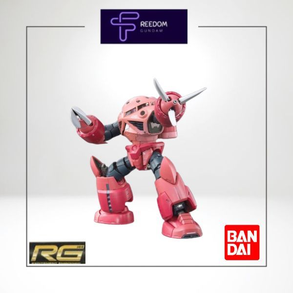 กันดั้ม RG 1/144 MSM Chars ZGok Bandai Assembly Model