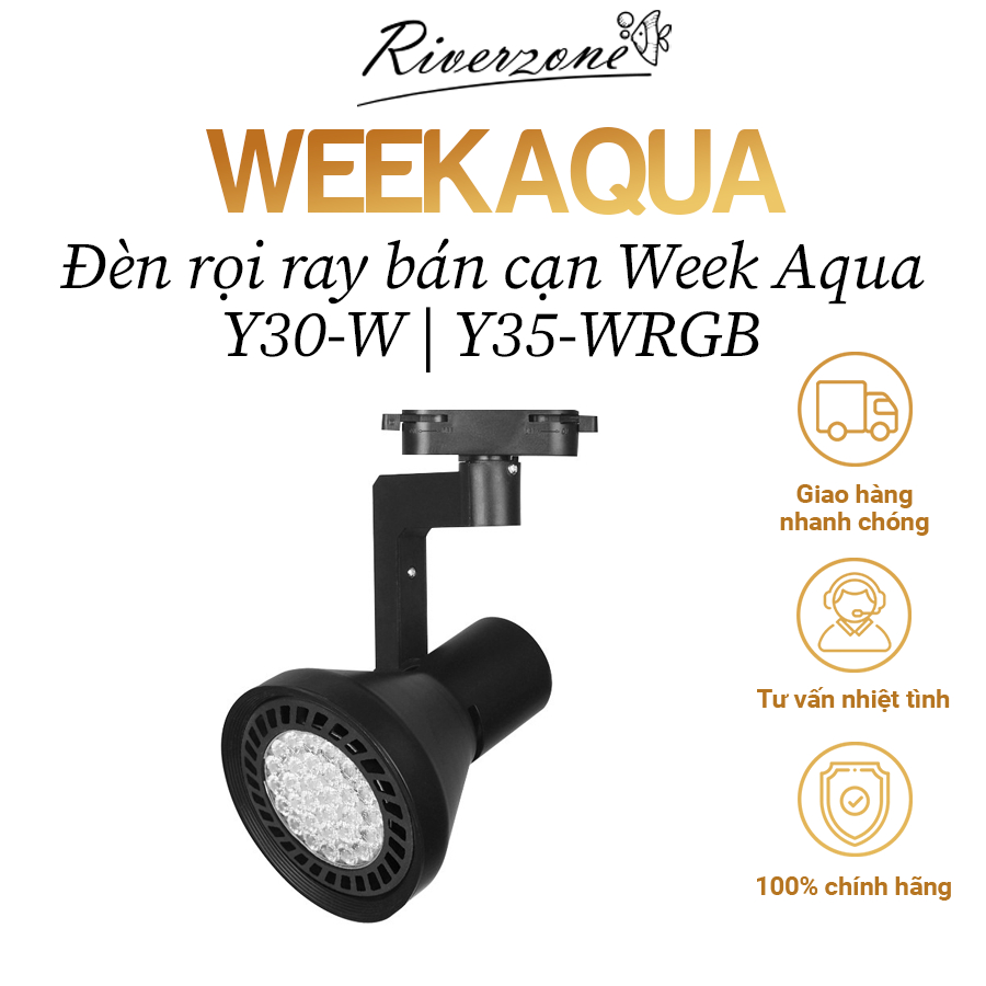 Week Aqua Y30-W สปอร์ตไลท์กึ่งภูมิประเทศ | Y35-WRGB แสงความเข้มสูง