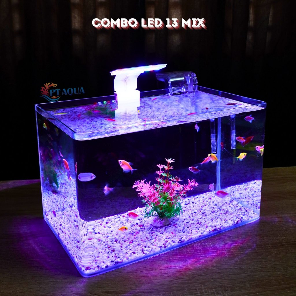 ตู้ปลาขนาดเล็ก 35x21x23cm CURVED CAST สําหรับตั้งโต๊ะ มีให้เลือกหลายรุ่น รวมอุปกรณ์กรวดและต้นพลาสติก