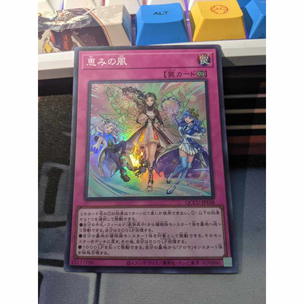 การ์ด Yugioh OCG QCCU-JP168 Blessed Winds - หายากมาก
