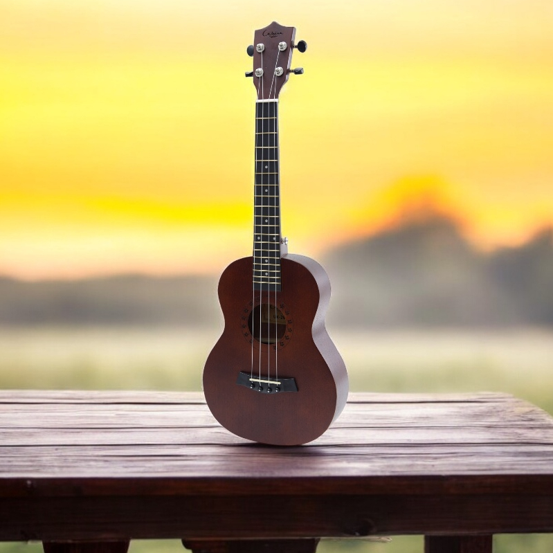 Ammoon size 23 Wooden Concert Ukulele ราคานักเรียน - ITEM