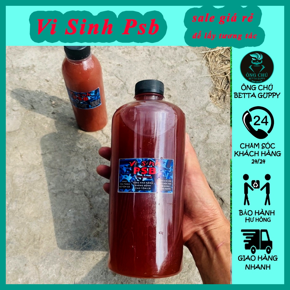 จุลินทรีย์สังเคราะห์แสง Psb clarify และน้ําสะอาดรักษาโรคของเสียในตู้ปลา