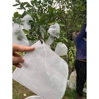 50 CÁI Túi Bọc Các Loại Trái Cây Ổi, Bơ, Xoài, Na.Sung Mỹ.Cam , Lê .Có Dây Rút bao trái cây