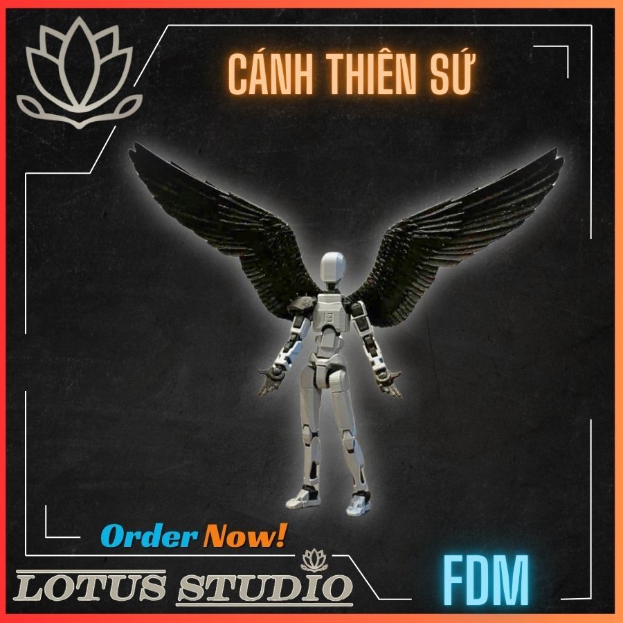 Dummy Angel Wing 13 | ไม่รวมโมเดล