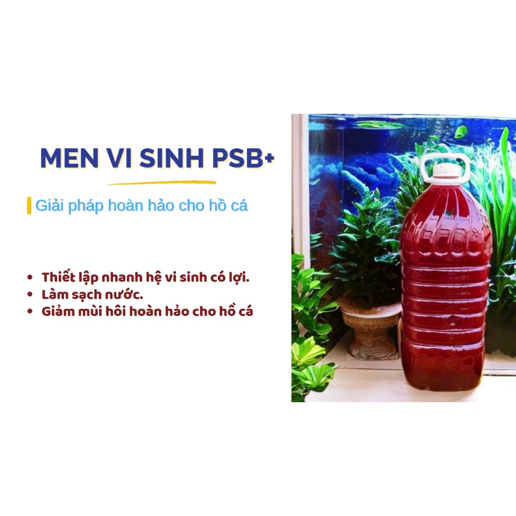 [ความลับล้างตู้ปลาเสมอ] PSB+ โปรไบโอติก: แก้ปัญหากลิ่น ให้อาหารธรรมชาติ